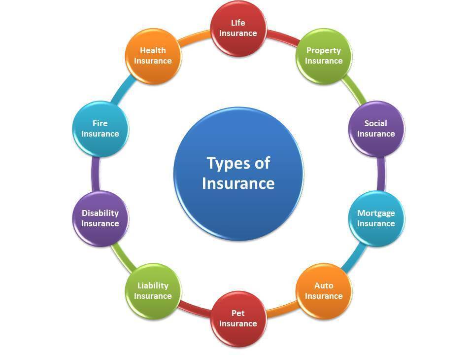 What Type Of Insurance Policy Should You Get NiveshMarket