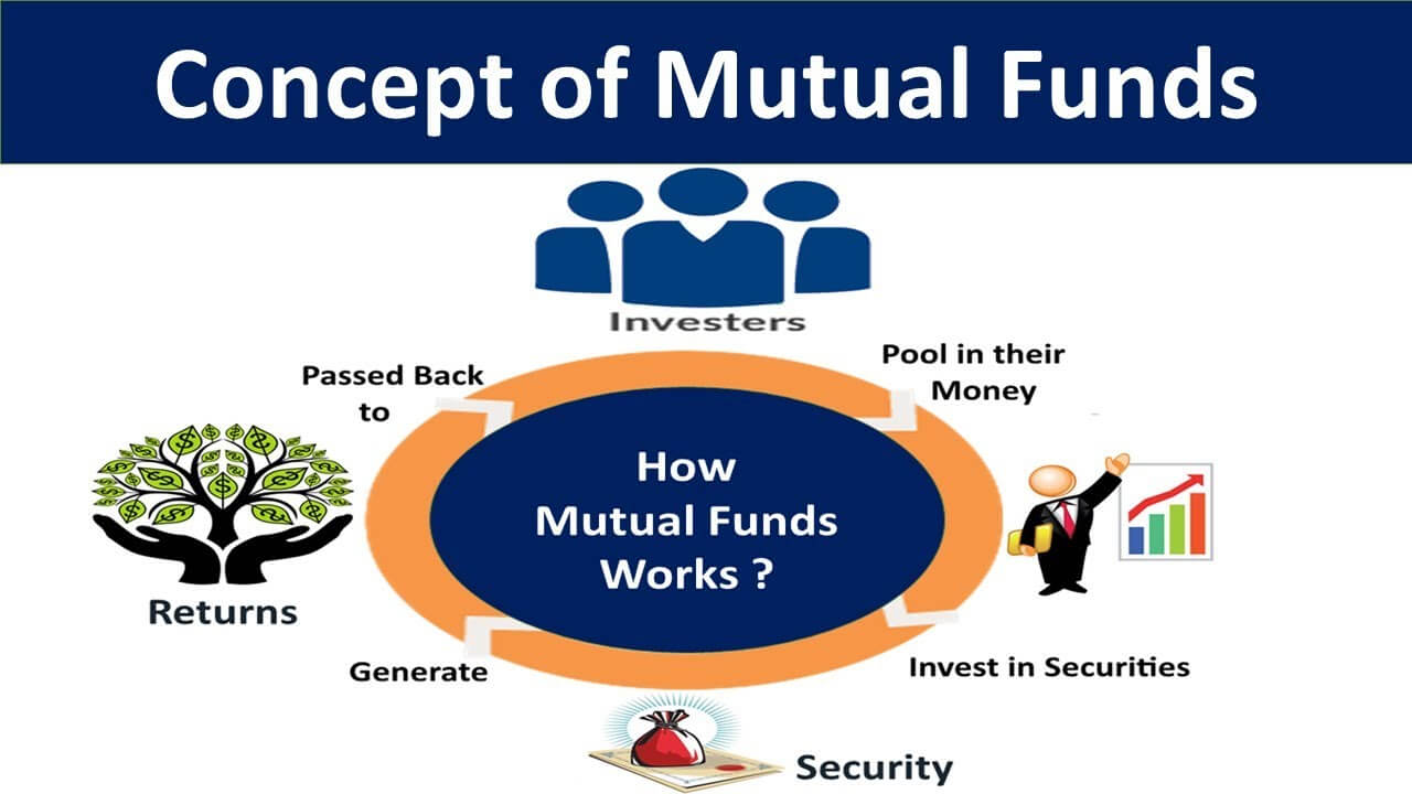 Best Return Mutual Funds 2024 Kare Sandra